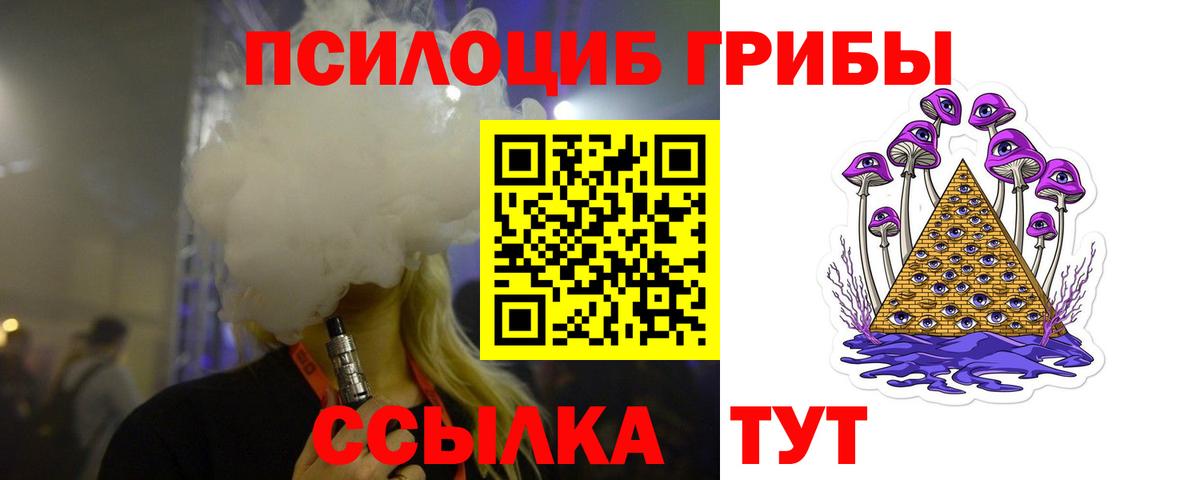 Псилоцибиновые грибы прущие грибы  Вход с VPN  купить   Саранск  Галлюциногенные грибы Psilocybe 