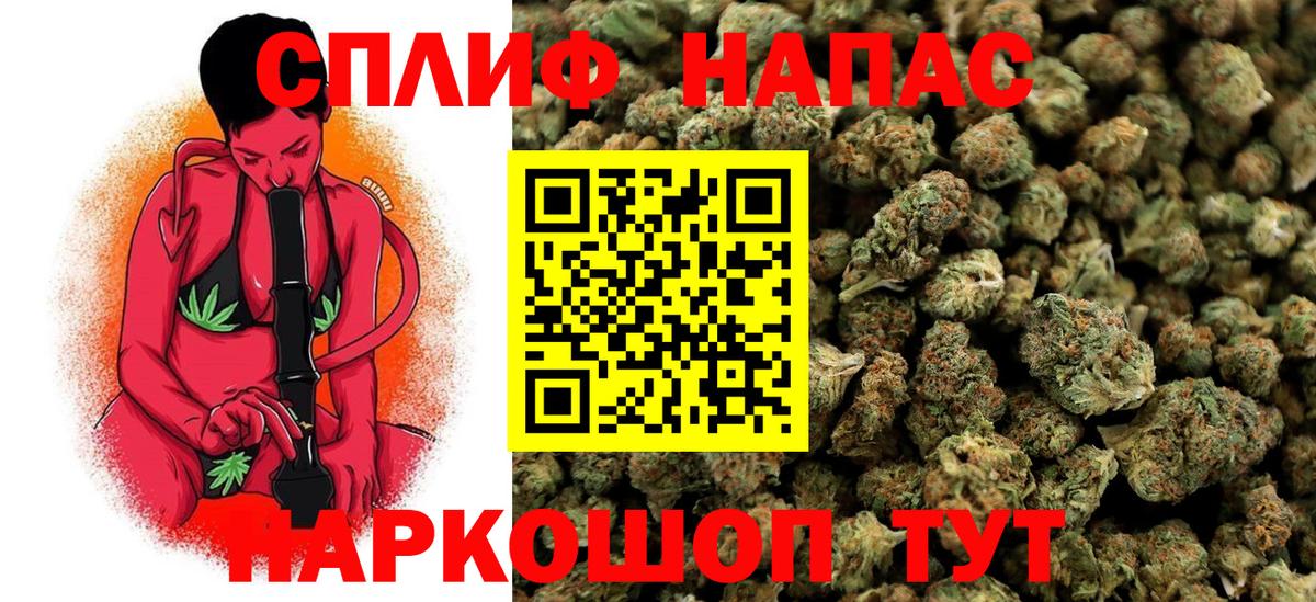 Конопля AK-47  Бошки марихуана MAZAR  Саранск  Вход с VPN  Канабис сатива 